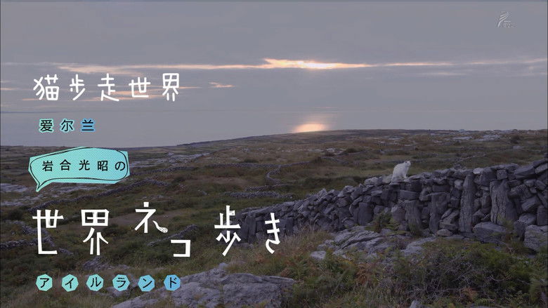 Still image for Mitsuaki Iwago's World “Cats” Travelogue season 1 episode 64: Ireland Still image for Mitsuaki Iwago's World “Cats” Travelogue season 1 episode 64: Ireland