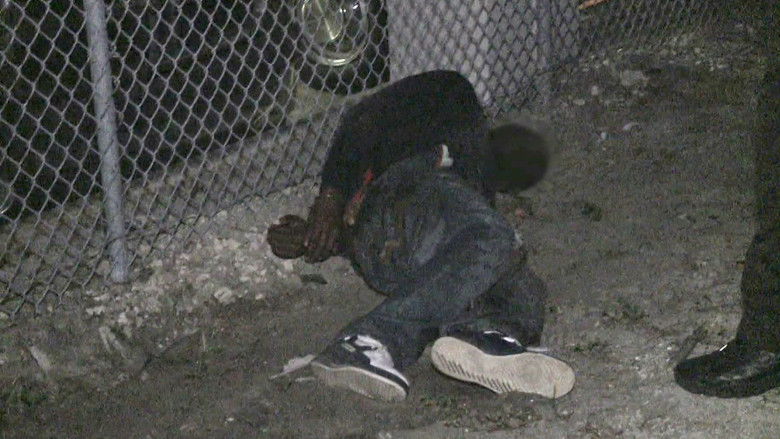 Still image for Airport 24/7: Miami season 1 episode 4: Catch a Thief Still image for Airport 24/7: Miami season 1 episode 4: Catch a Thief