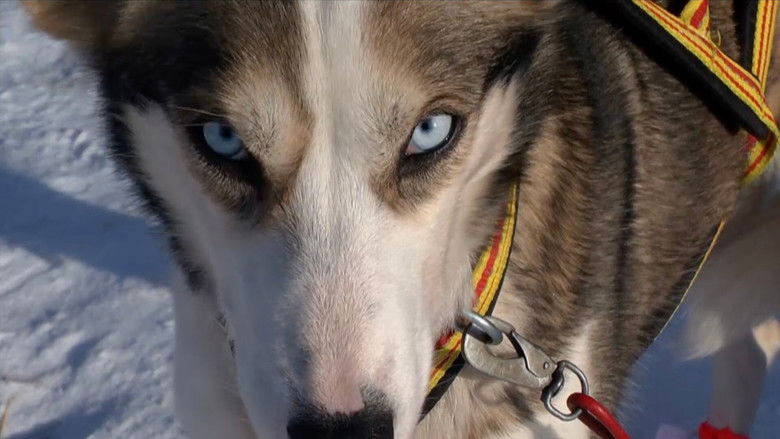 Still image for Monsen and the dogs season 1 episode 1: Episode 1 Still image for Monsen and the dogs season 1 episode 1: Episode 1