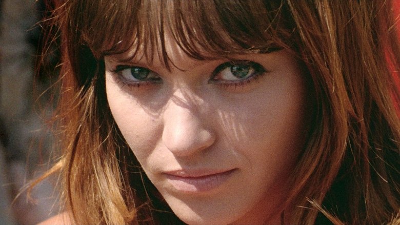 Pierrot le Fou (1965)