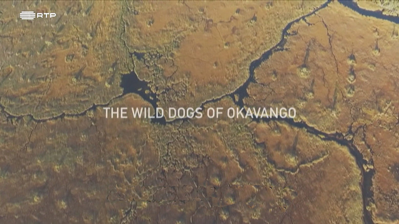 Still image for Planet Safari season 1 episode 8: Episode 8