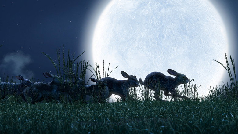 Still from Watership Down - Season 1 Episode 2