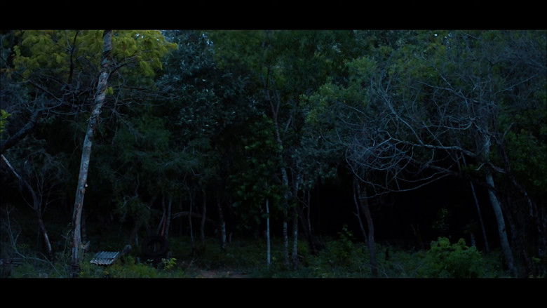 Imatge de A Mata Não Esquece