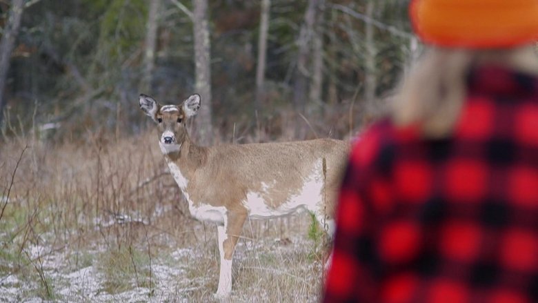 Schauen Cold November On-line Streaming