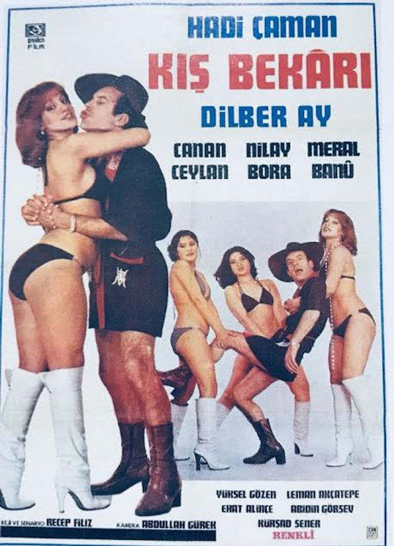 Imatge de Kış Bekarı