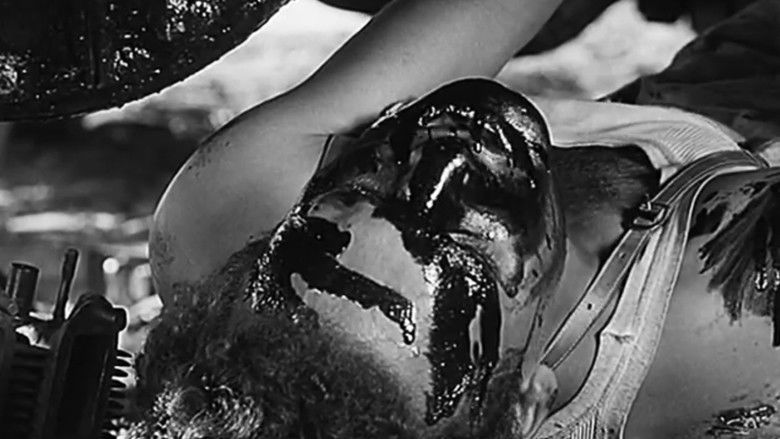 Gallery image from rma2vgF1RU7Kcs9PtMR5hNpD6BS.jpg