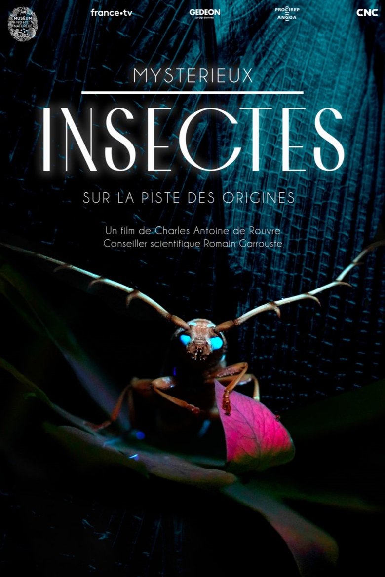 Mystérieux insectes, sur la piste des origines (2022)