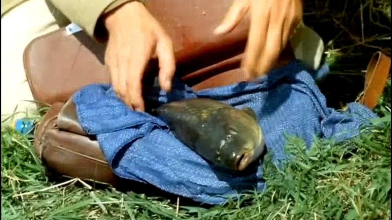 Still image for Chalupáři season 1 episode 2: Episode 2