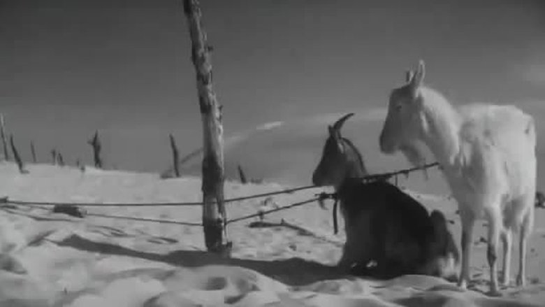 Gallery image from roKeXlPES9Jd5YRKwzJqs5mONSd.jpg