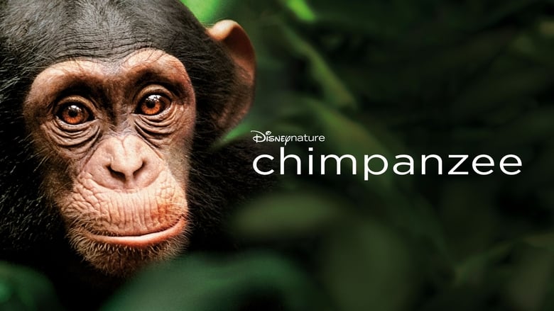 Disneynature: Chimpanzés