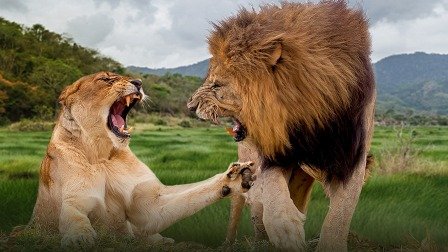 Still image for Dawn to Dusk season 1 episode 4: Episode 4