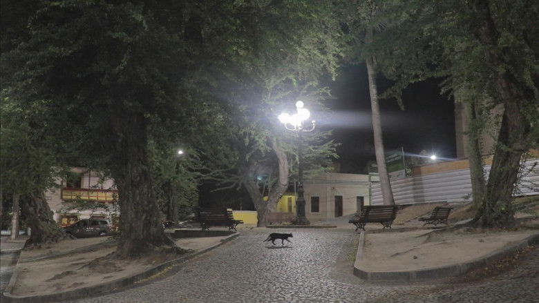 Gallery image from rpLM5JOEc5tCtGmWQV8IrtX26fT.jpg