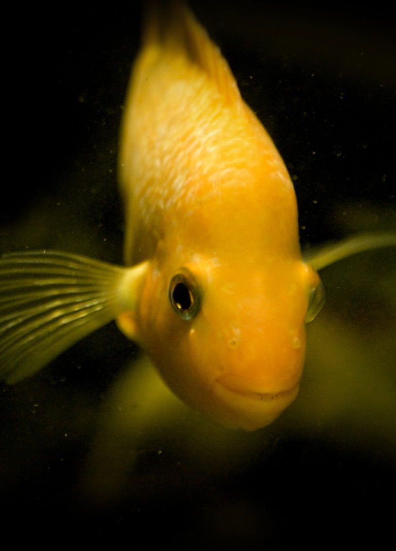 Imatge de Taking Stock