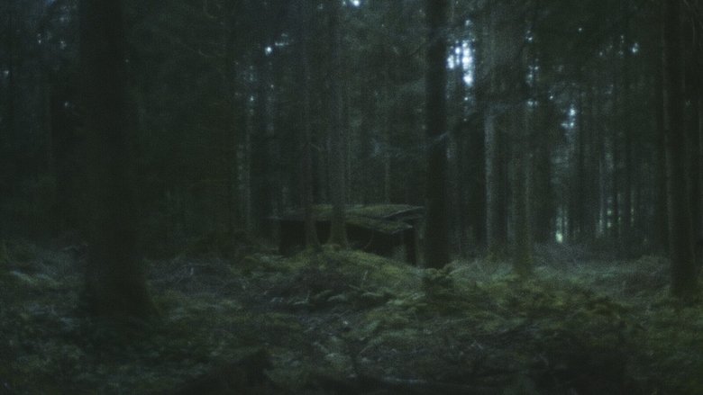 Gallery image from rqVGTozR5cIrC0W3cbzYgPPvTgq.jpg