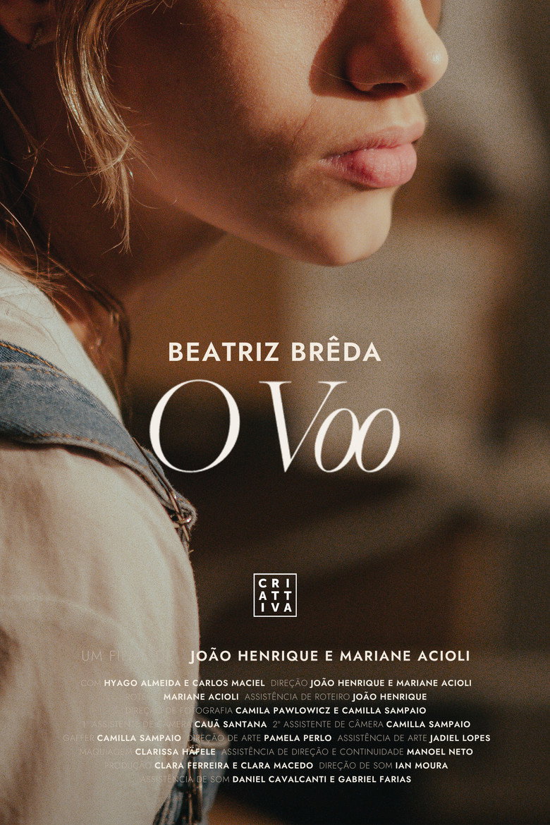 Imatge de O Voo