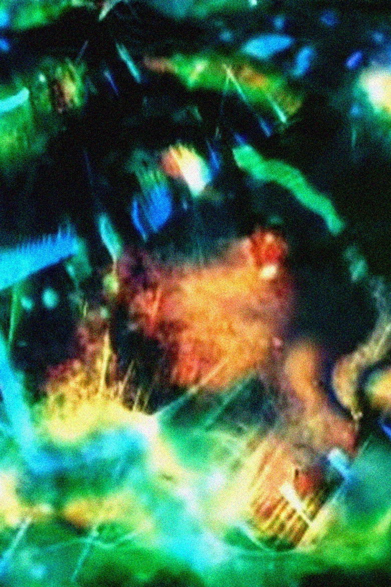 Imatge de Night Music