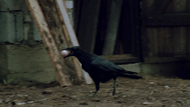 Still image for Saga Prastarej Puszczy season 1 episode 3: Episode 3