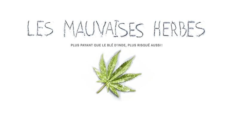 Les mauvaises herbes streaming – 66FilmStreaming