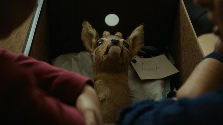 L’ultim Rumantsch (2024)