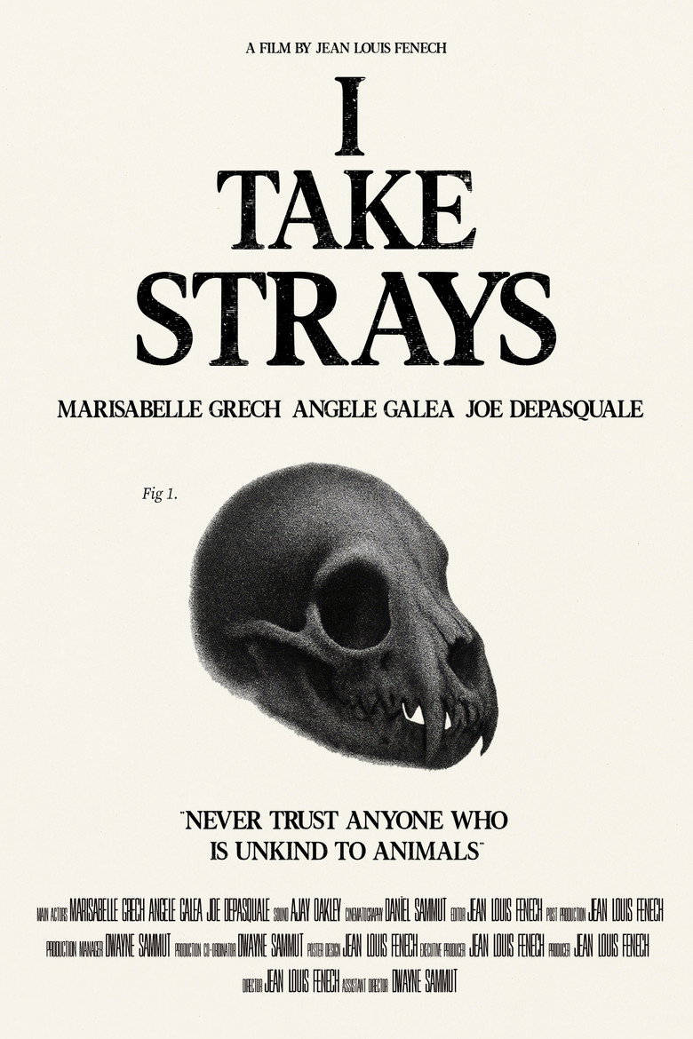 I TAKE STRAYS