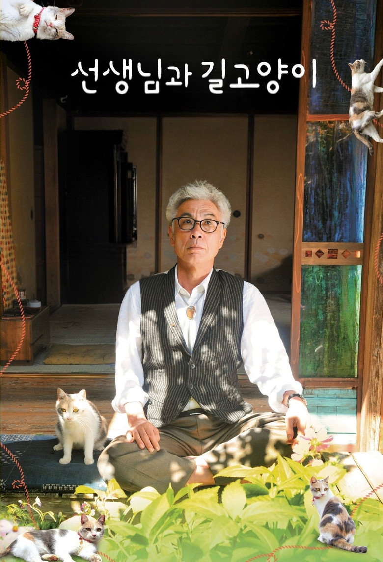 Imatge de 先生と迷い猫