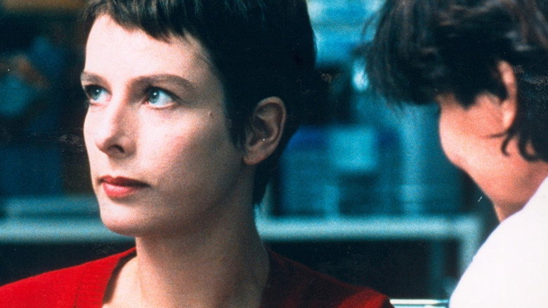 Imatge de Haut les cœurs !