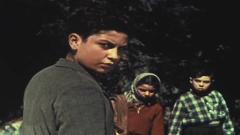 Gallery image from rwAXOG6UWCk2TskTAP7IZ2iTBrO.jpg