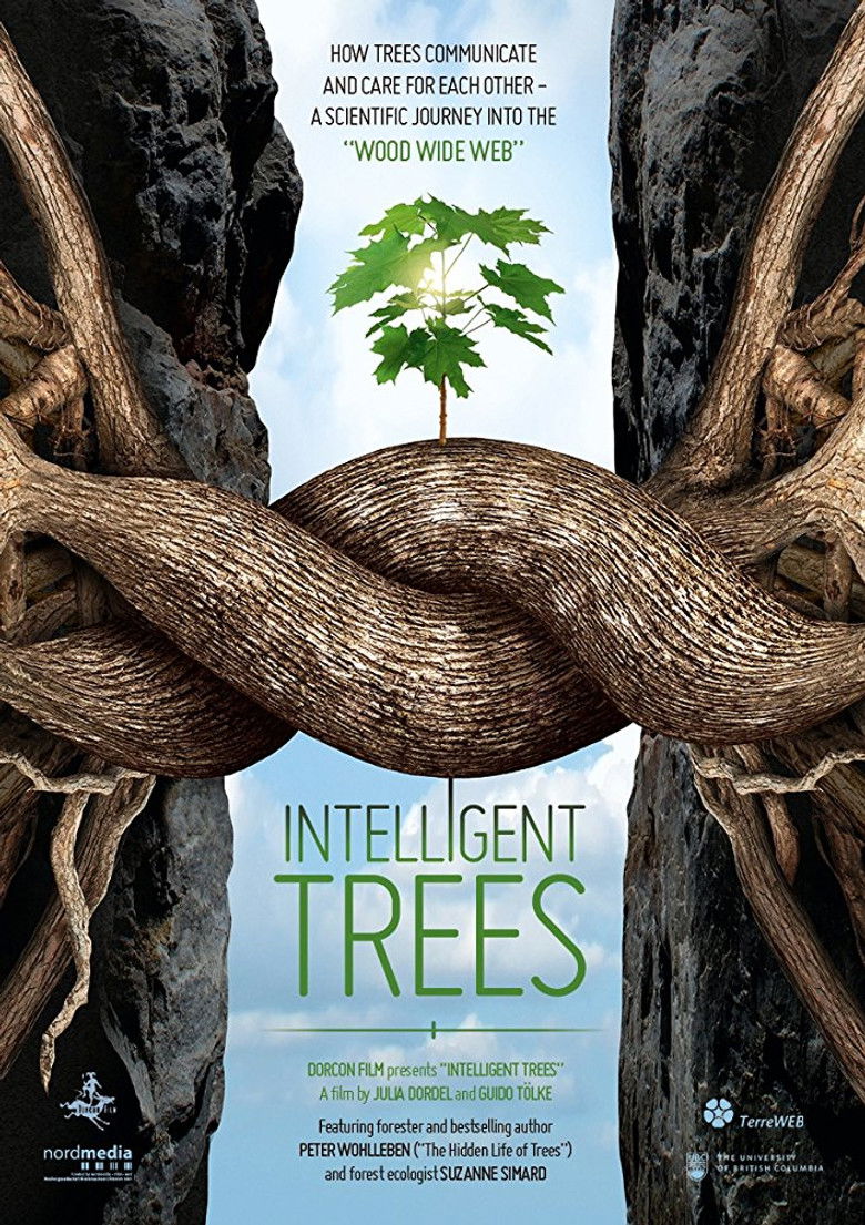 Intelligent Trees