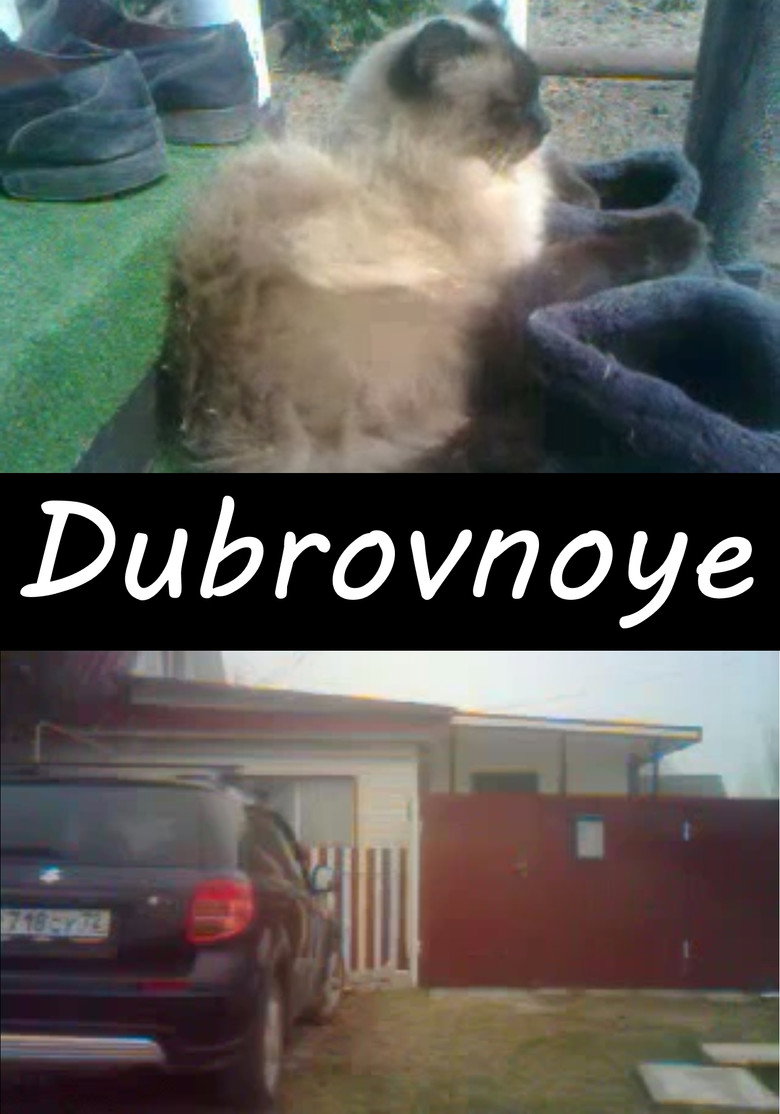 Dubrovnoye background
