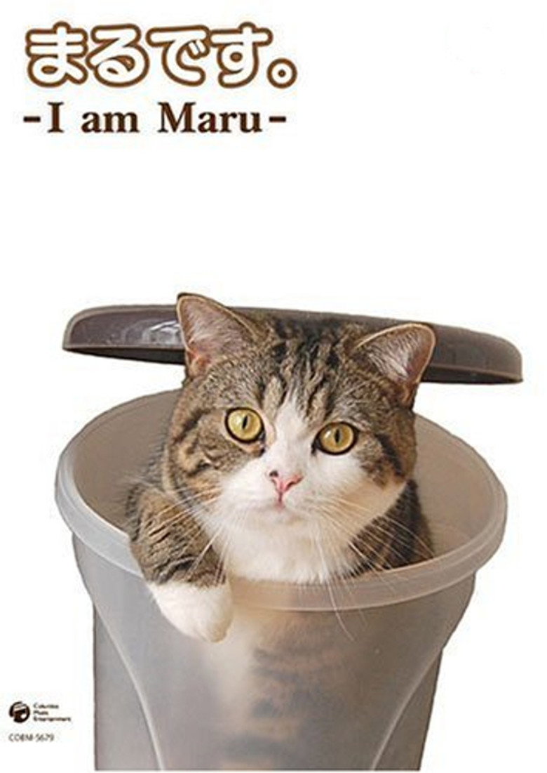 I Am Maru poster