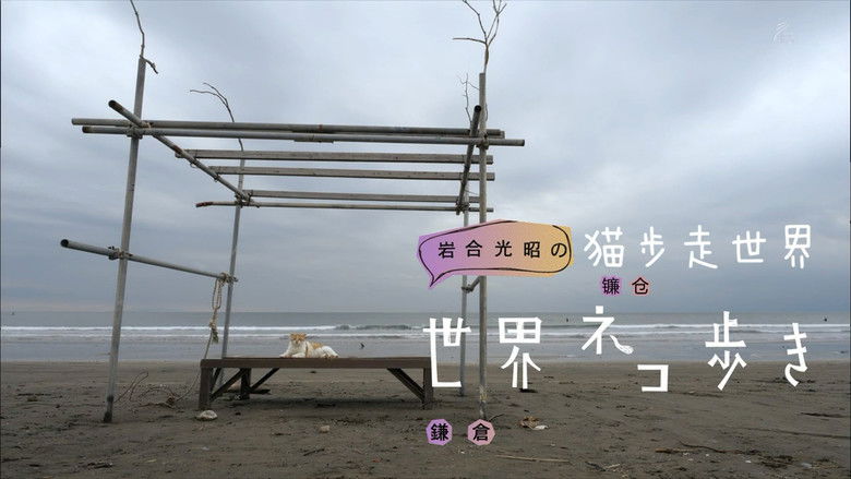 Still image for Mitsuaki Iwago's World “Cats” Travelogue season 1 episode 79: Kamakura Still image for Mitsuaki Iwago's World “Cats” Travelogue season 1 episode 79: Kamakura
