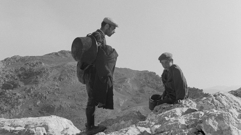 Gallery image from rx0OVYj7Uj7kPJgtxvDxi0JFDva.jpg