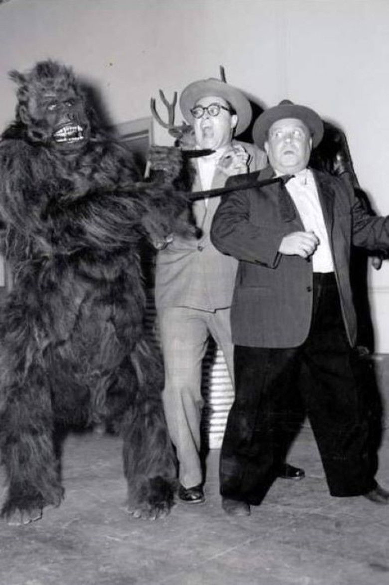 Imatge de Fraidy Cat