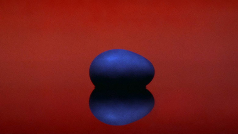 Egg image 11