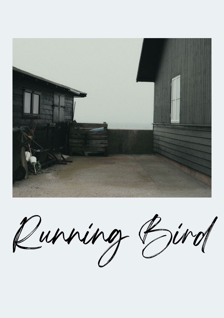Imatge de Running Bird