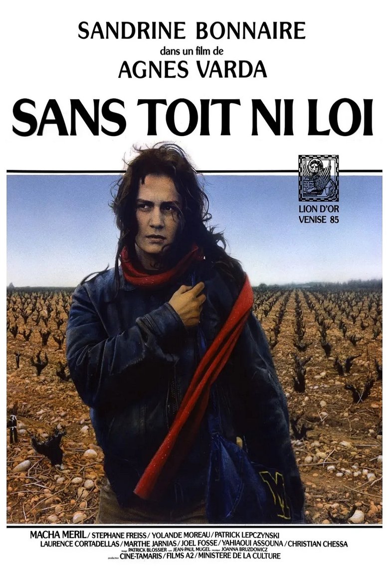 Poster du film Sans toit ni loi