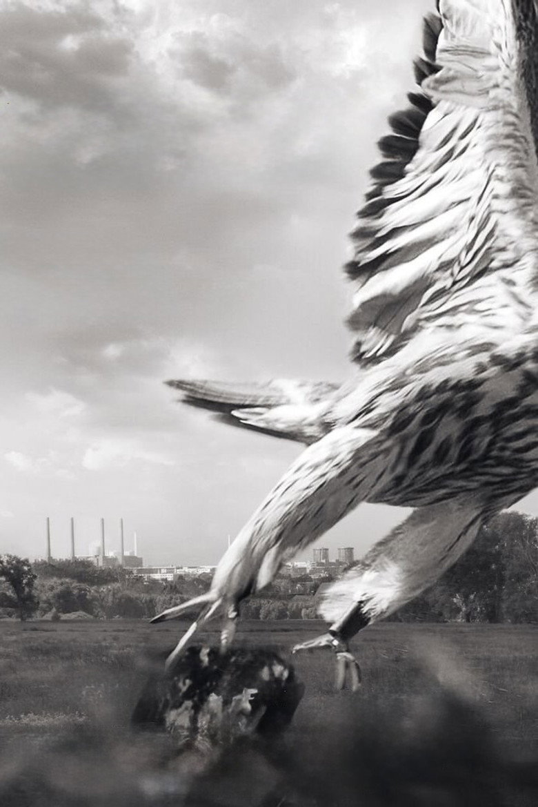 Imatge de Mein Falke