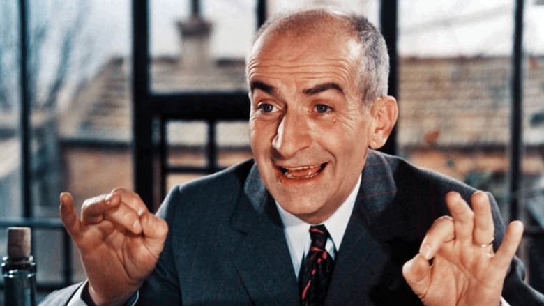 Louis de Funès Forever (2013)