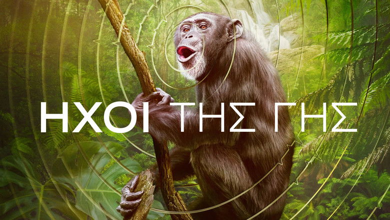 Gallery image from rzY72PVa9o2DqbB7Svuq7dPXPjz.jpg