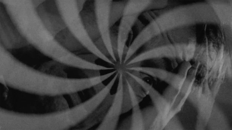 Gallery image from s0BaQipx44clv7xJg6liyb9l6gs.jpg