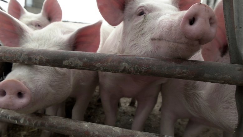 Gallery image from s0I2saW9sveXt0d4e6EQ0cGugEZ.jpg