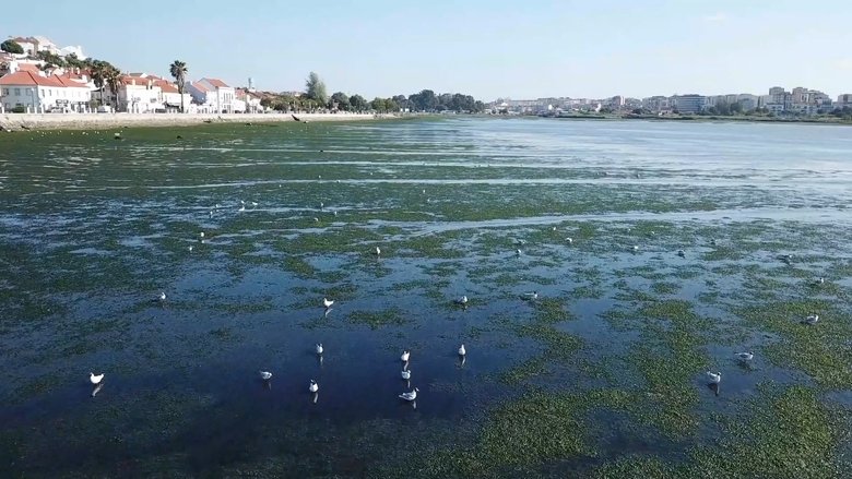 Mar Urbano Lisboa (1970)