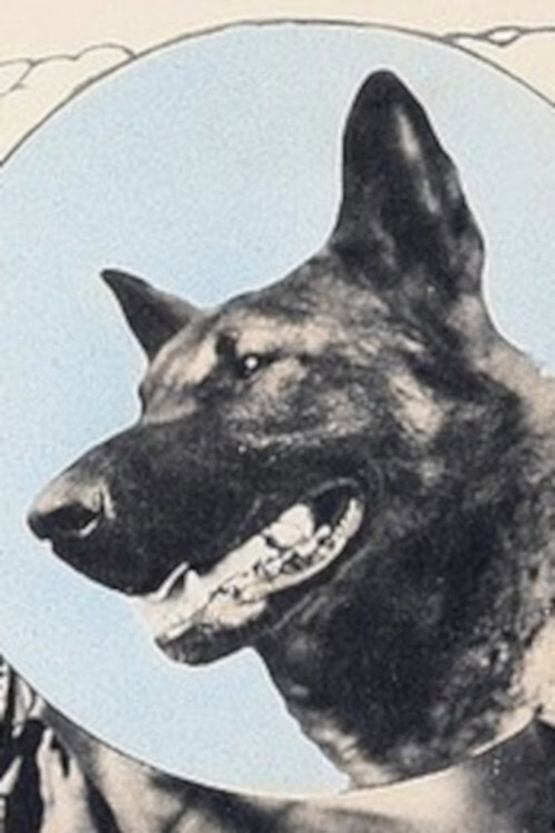 Wolfheart the Dog poster
