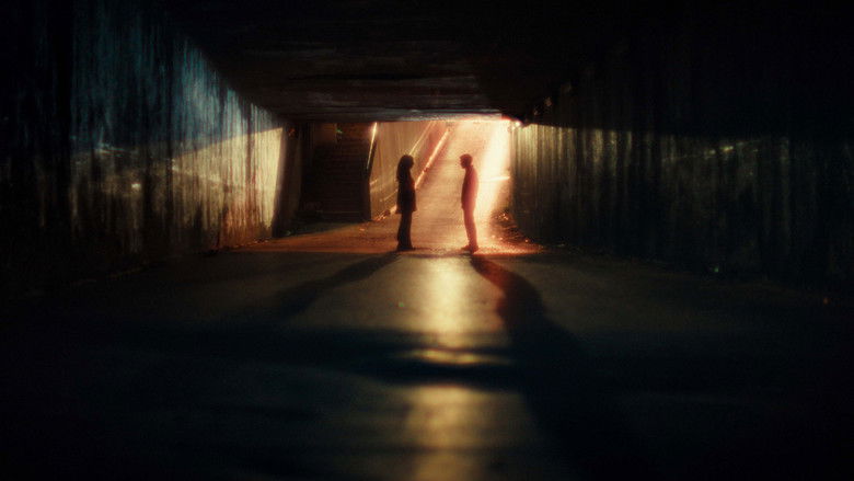 Image d'arrière-plan 9 du film Un monde fragile et merveilleux