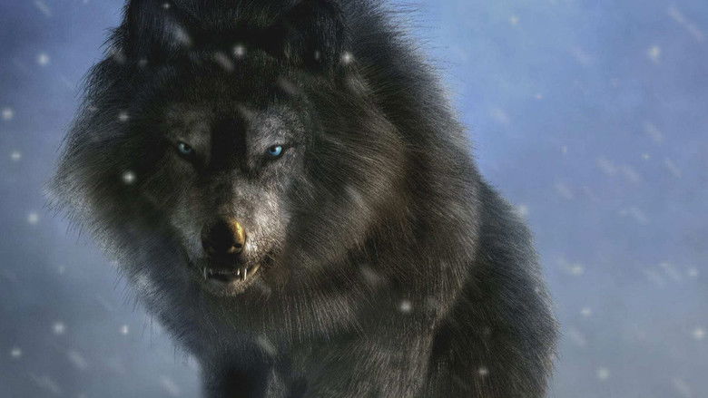 Strange Evidence 5×8