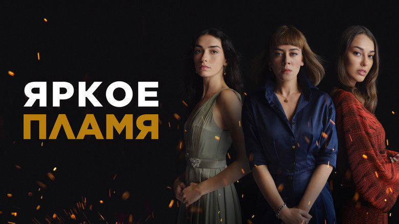 Gallery image from s3z6iRR3VuW1xVvX5YX8atkCQI5.jpg