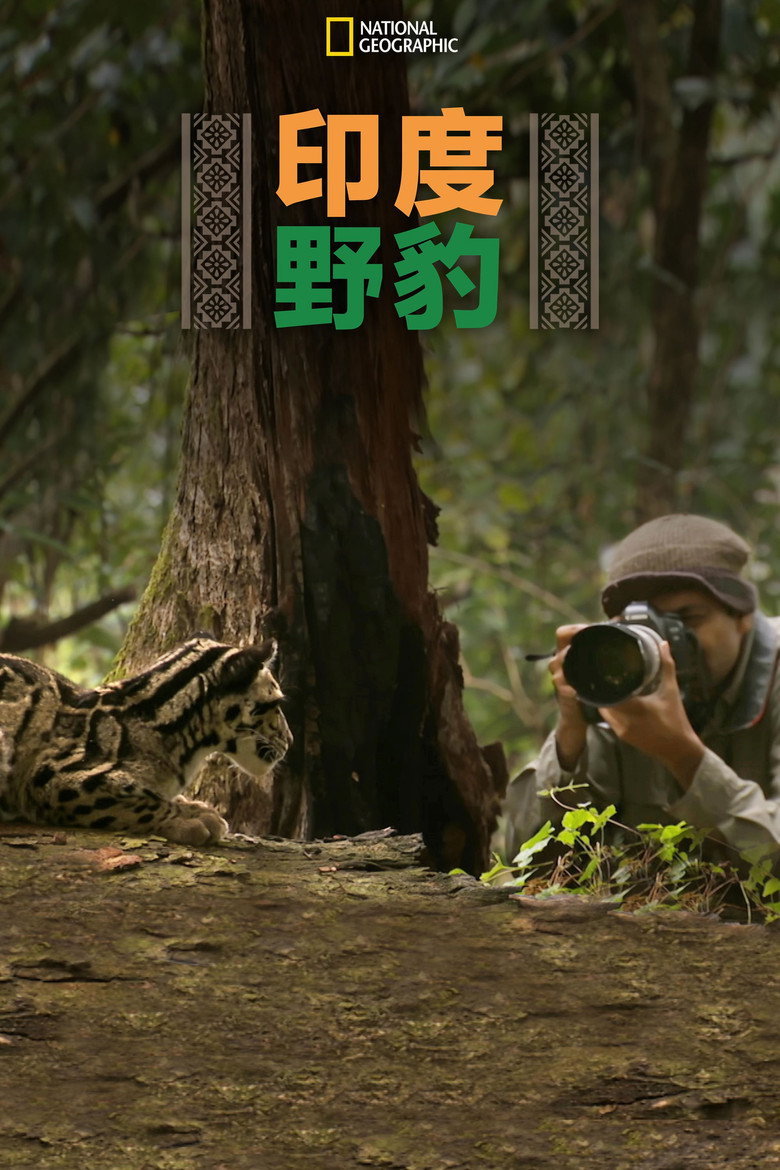 印度野豹 (2020)-光鸭·臻影社