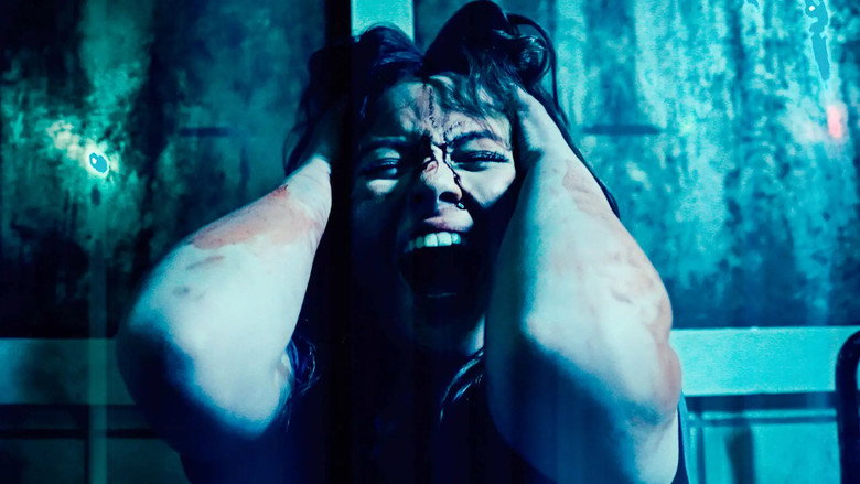 Destino Paranormal S28E01