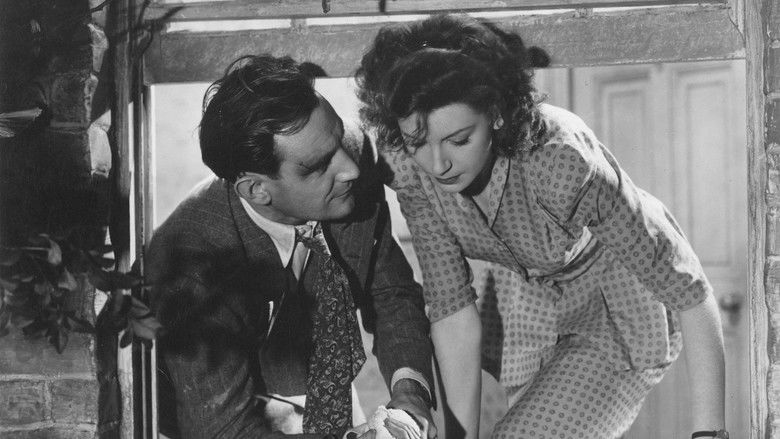 Imatge de Fosca sospita