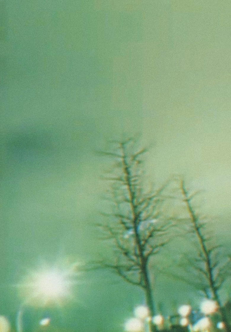 Imatge de Border Land